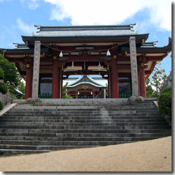 �������{���_��