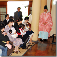 ���{�Q��